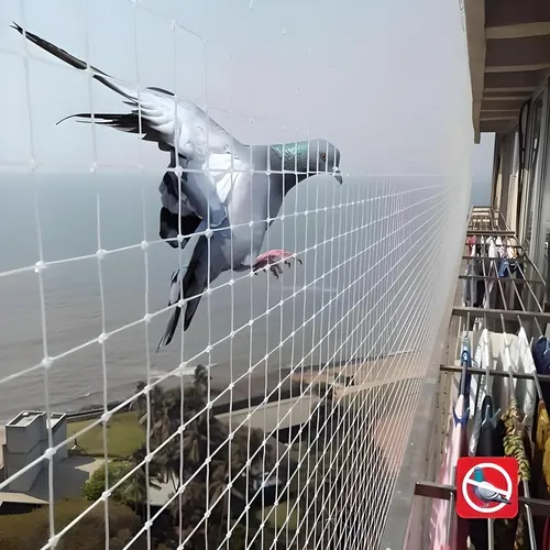 Bird Net Installation