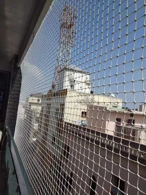 Pigeon Safety Nets